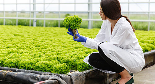 Grado Asociado en Tecnología de la Horticultura