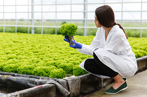 Grado Asociado en Tecnología de la Horticultura