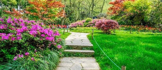 Diseño de Jardines (Básico)