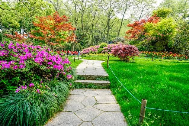 Diseño de Jardines (Básico)