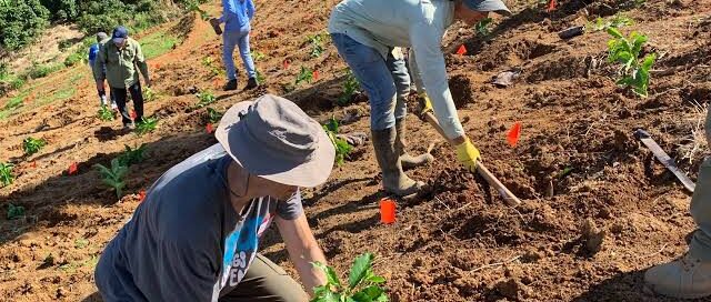 Grado Asociado en Tecnología de la Producción Agrícola
